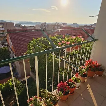 Bloom * Šibenik