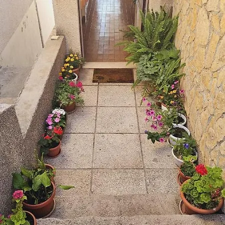 Bloom * Šibenik